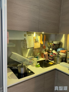 1763730272d23329ec-2f56-41b2-9a82-79d1e0fec40d.jpeg 尚悅 5座 - 28NTS – 香港北部都會區