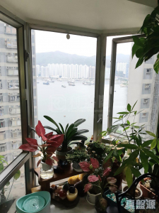 176373091361692d7e-2fd8-430c-bf25-29eb33f95ca5.jpeg 海濱花園 海觀閣 (9座) - 28NTS – 香港北部都會區