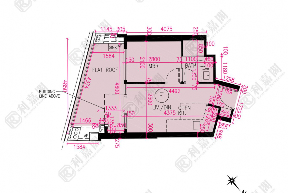 NOVO LAND 1B期 Bergen 3座 - 28NTS – 香港北部都會區