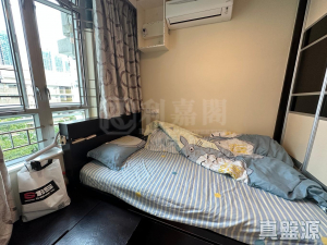 青俊苑 B座 (俊豪閣) - 28NTS – 香港北部都會區