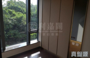 緹岸 2期 5A座 - 28NTS – 香港北部都會區