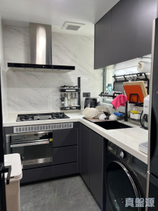 東堤灣畔 1期 1座 - 28NTS – 香港北部都會區