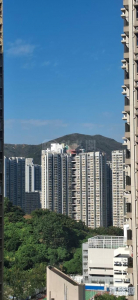 山景邨 景美樓 (8座) - 28NTS – 香港北部都會區