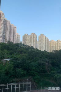 荃德花園 B座 - 28NTS – 香港北部都會區