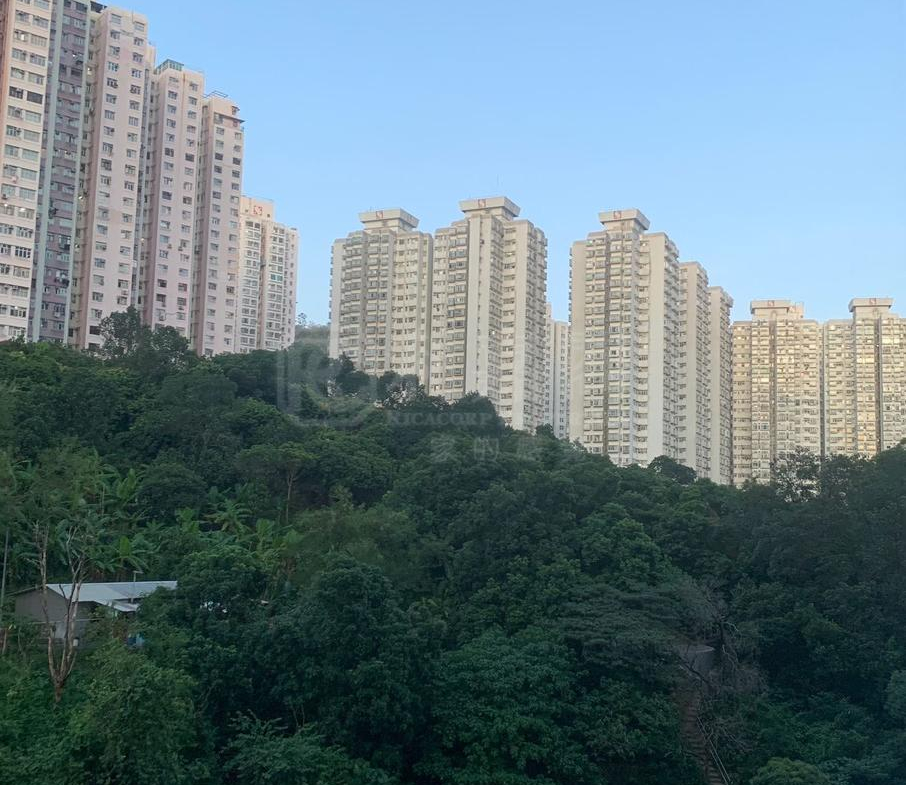 荃德花園 B座 - 28NTS – 香港北部都會區