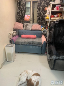 荃德花園 B座 - 28NTS – 香港北部都會區