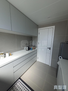 元朗大廈 - 28NTS – 香港北部都會區