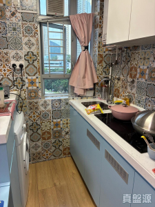 裕泰苑 B座 (裕瑛閣) - 28NTS – 香港北部都會區