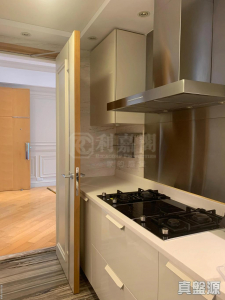 177074791061761d3e-5610-4da1-b748-ead203c36433.jpeg 壹號雲頂 1期 8座 - 28NTS – 香港北部都會區