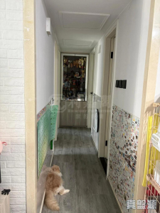 17707487380ad8ee20-7f47-4e4e-96af-a5034c762bd3.jpeg 牽晴間 1座 - 28NTS – 香港北部都會區