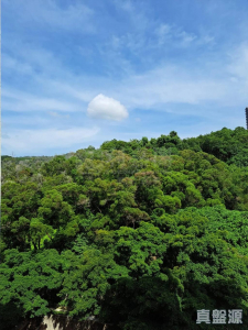 17707504025f8e9396-611e-43f7-8508-68f363d9117b.jpeg 彩暉花園 A座 - 28NTS – 香港北部都會區