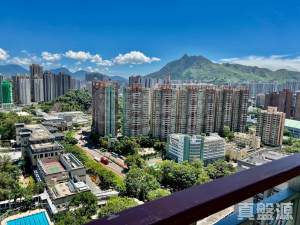 1770753449053df487-90a3-4719-80b4-c4144ad8ccfb.jpeg 倚嶺南庭 - 28NTS – 香港北部都會區