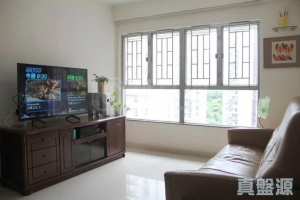 177075375266df8421-fee0-4bd8-a4e3-13c957be760d.jpeg 偉景花園 1座 - 28NTS – 香港北部都會區