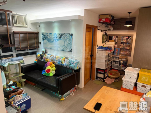 1770755022541df91a-a515-4787-b896-fa3425c16850.jpeg 青華苑 華璇閣 (B座) - 28NTS – 香港北部都會區