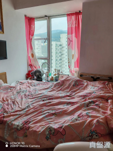 17707553780475f36b-f0bd-46e7-bd65-0c24caf7eae1.jpeg 翠豐臺 2座 - 28NTS – 香港北部都會區