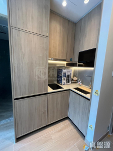 177075723929ae7098-30ff-4a09-b6dc-c08ed0da8def.jpeg 朗天峰 2座 - 28NTS – 香港北部都會區