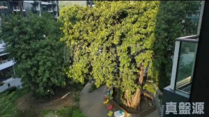 1770759694d92f8f53-146a-44fc-a79e-77677ec2fae0.jpeg 帝御 2期 帝御‧星濤 1座 - 28NTS – 香港北部都會區