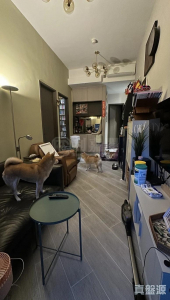 17707599919c83c7f0-b05a-4ad4-a685-e3f053a56639.jpeg 帝御 2期 帝御‧星濤 1座 - 28NTS – 香港北部都會區