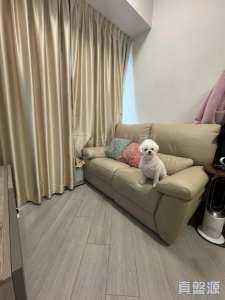 17707601417fade8a3-2ef0-469e-97c5-9446e0656ce3.jpeg 帝御 2期 帝御‧星濤 2座 - 28NTS – 香港北部都會區