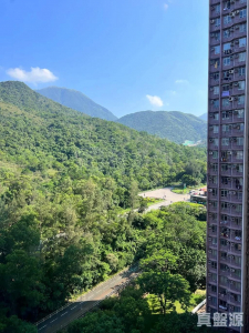 1770760630f9aa9a3c-c292-4d40-8d9a-1a2f7a291891.jpeg 裕東苑 賀東閣 (B座) - 28NTS – 香港北部都會區