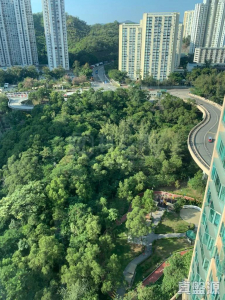 1770760787f619e402-ae8e-4ed0-aea1-562be2a64f47.jpeg 藍澄灣 1座 - 28NTS – 香港北部都會區