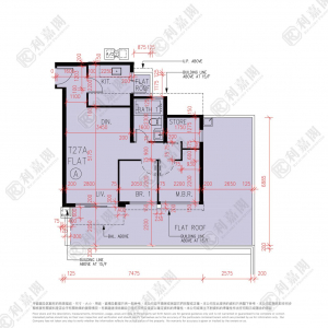177076103457314_2000_ricacorp.png 峻巒 2B期 PARK YOHO NAPOLI 27A座 - 28NTS – 香港北部都會區