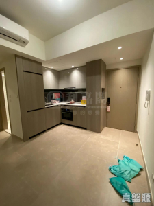 17707610705a05482b-4918-4f38-a7bb-ef775d8d18a8.jpeg WETLAND SEASONS PARK 2期 2座 - 28NTS – 香港北部都會區