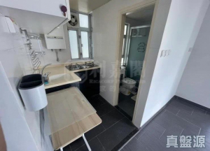 1770764562cb6f985b-b855-49ea-8629-639ec6754a22.jpeg 好運中心 棕林閣 (B1座) - 28NTS – 香港北部都會區