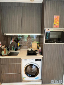 17707646383a4d30a1-9dad-40df-98bc-c4cbb494dcfa.jpeg 壹號雲頂 2期 雲頂峰 雲頂峰 - 28NTS – 香港北部都會區