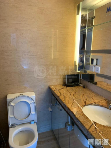 17707662709ff5ed8a-795e-48d0-ba0a-b2e82081a539.jpeg 御龍山 2座 - 28NTS – 香港北部都會區