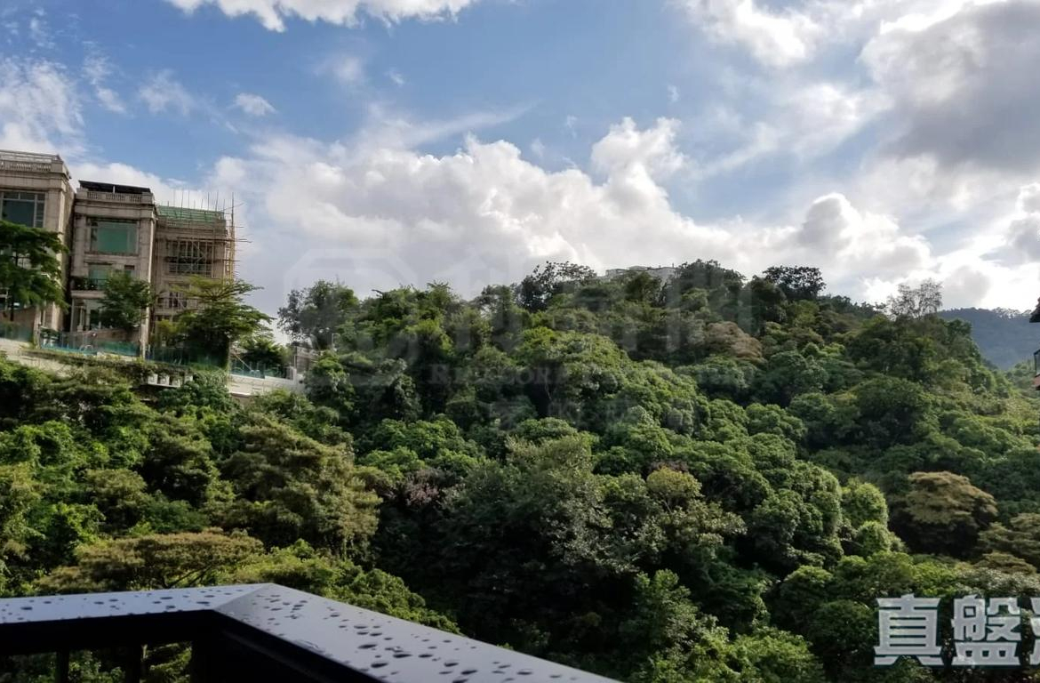 薈蕎 1翼 - 28NTS – 香港北部都會區