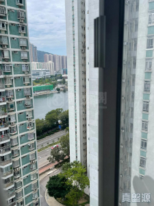 1770768417b300e16c-2c93-49fd-9bc9-1802f1a5c71b.jpeg 沙田第一城 2期 17座 - 28NTS – 香港北部都會區