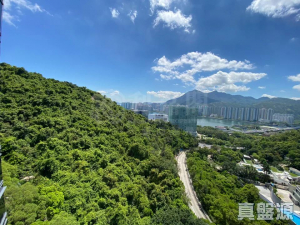 1770768990ca9959e9-9abc-4863-80db-30bb48444f88.jpeg 名日.九肚山 2座 - 28NTS – 香港北部都會區