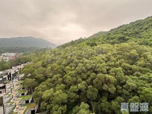 1770769110c3d127ba-d491-483e-ae2c-89e947a6bb4d.jpeg 名日.九肚山 1座 - 28NTS – 香港北部都會區