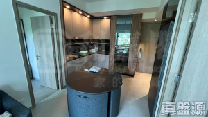 17707696955aefb1ea-2da8-4013-b2f4-01d86c70f016.jpeg SILICON HILL UNIVERSITY HILL 2B期 優景閣 第5座 - 28NTS – 香港北部都會區