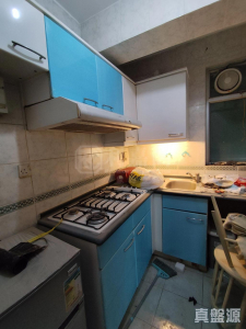 1770770062f40fa25b-a6f6-4f5d-b0ba-e3e1c4979458.jpeg 綠悠軒 2座 - 28NTS – 香港北部都會區