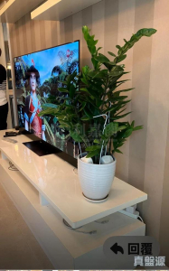 17707728528b911a56-5bbf-4cd1-b396-2332b4d7ecae.jpeg 天宇海 6B座 - 28NTS – 香港北部都會區