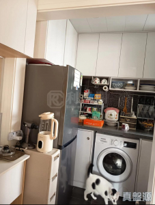 17707744255993823b-0932-411d-aa14-f6831b11b154.jpeg 沙田第一城 2期 17座 - 28NTS – 香港北部都會區