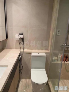 17707769805eacc3f7-4df0-495a-a976-6223a2801368.jpeg 天鑽 6座 - 28NTS – 香港北部都會區