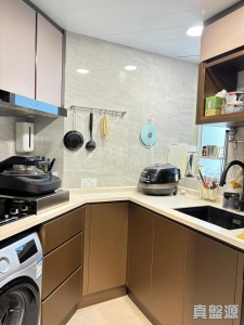 177077718362632970-86de-4029-a569-1fa9a8eaeeba.jpeg 名城 2期 盛薈 5座 - 28NTS – 香港北部都會區