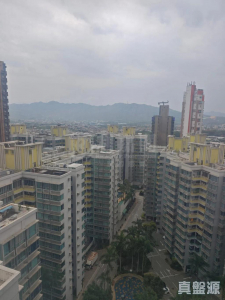 1770781860a9fd0a70-ce6c-4d40-a3ce-c1219d46bad3.jpeg 尚悅 13座 - 28NTS – 香港北部都會區