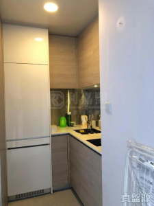 177078199117f6984a-b07e-4daf-9b99-8270ff197545.jpeg 尚悅 8座 - 28NTS – 香港北部都會區