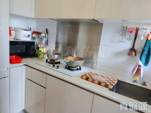 17707844142467d58f-b499-42c6-8e50-9c86e7634dd1.jpeg 尚悅 8座 - 28NTS – 香港北部都會區