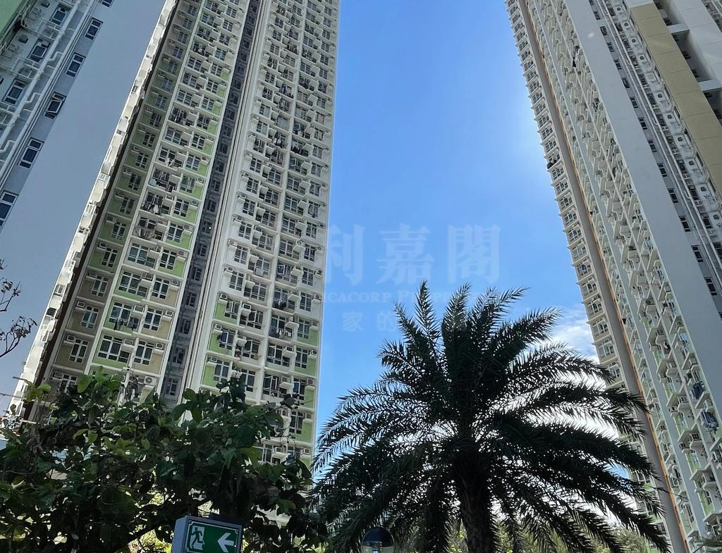 山麗苑 B座 - 28NTS – 香港北部都會區