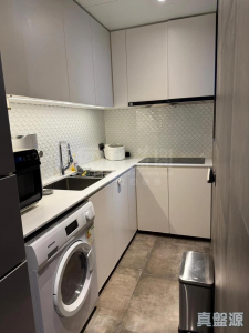 177078783850b30e17-1b30-4515-92ee-d8a2f25acd6c.jpeg 雅景臺 4座 - 28NTS – 香港北部都會區