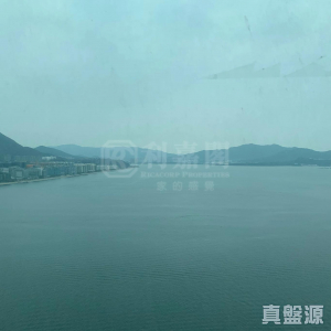 1770788934ff7da07d-bd17-42e3-b9e4-e0de25b89e58.jpeg 迎濤灣 1座 (A座) - 28NTS – 香港北部都會區