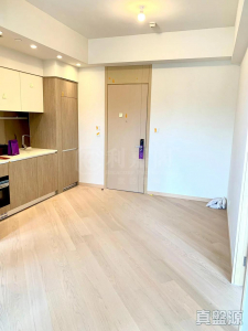 177078897053d599a9-07a0-4ed6-9178-ec1b728de3da.jpeg 天鑽 18座 - 28NTS – 香港北部都會區