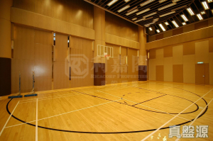 1770788999fb7f07cd-fb40-43d5-904a-e3b44890d8d5.jpeg 皇府山 5座 - 28NTS – 香港北部都會區