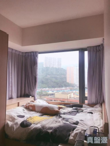 1770790096b15882a5-8002-4a51-bdcc-a3b722847940.jpeg 御龍山 5座 - 28NTS – 香港北部都會區