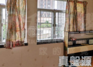 1770791284120137a6-9a5b-4727-b434-1232548859f7.jpeg 新港城 2期 C座 - 28NTS – 香港北部都會區